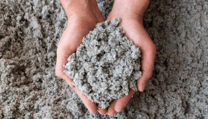 Cellulose products production complex project in Mazandaran